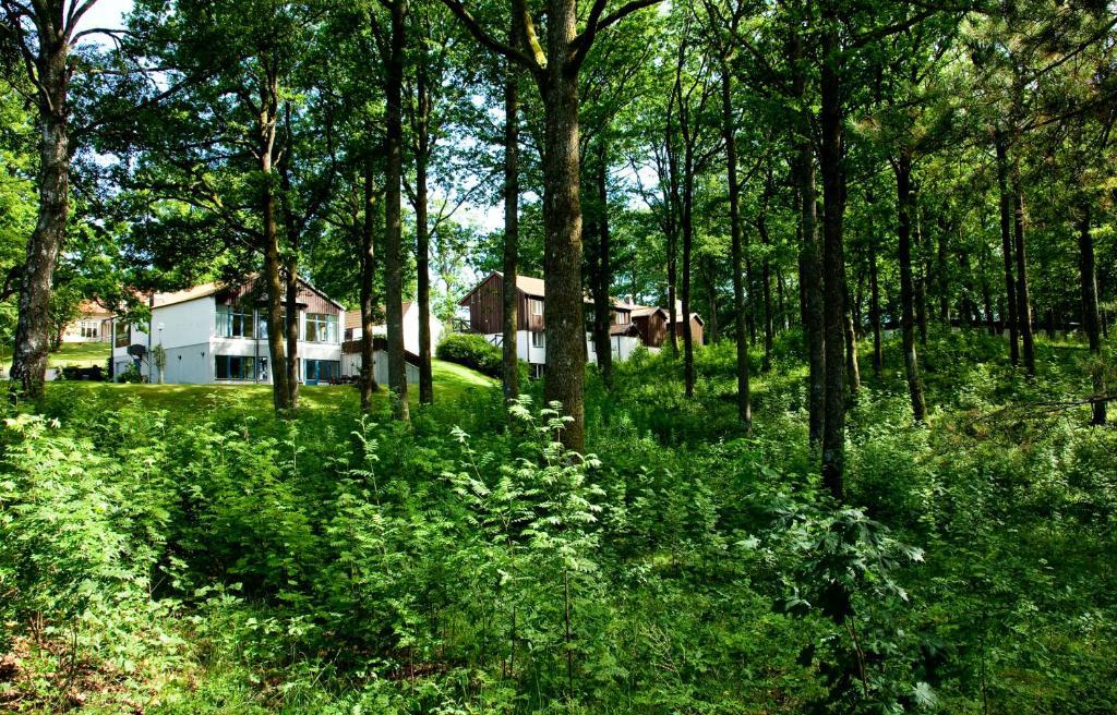 Ekebacken Hotell & Konferens Markaryd Exterior foto